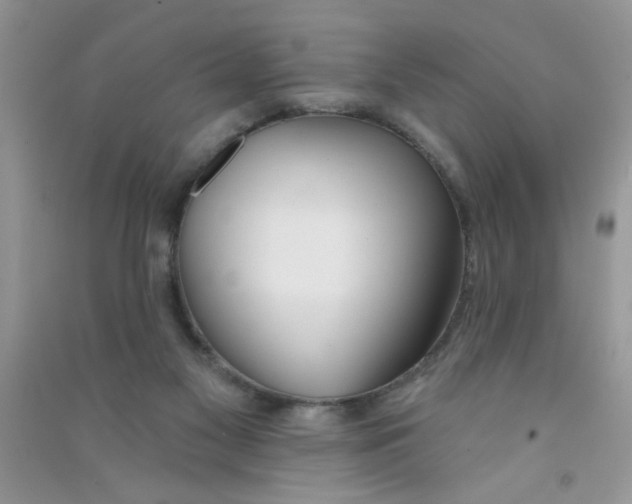 X0000090750117200708172035