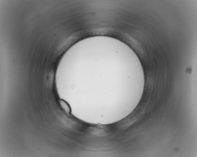 X0000090750118200708172035