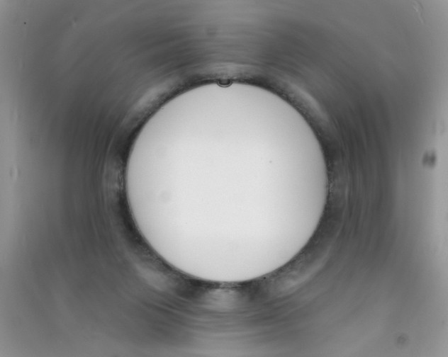 X0000090750119200708172035