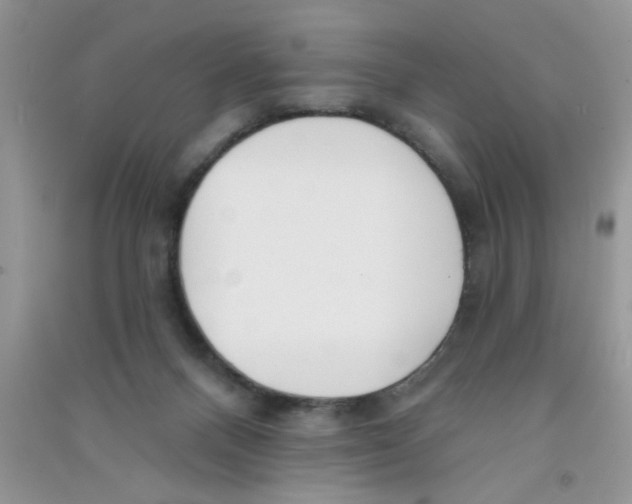X0000090750120200708172035
