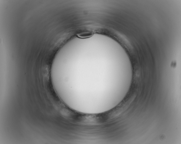 X0000090750121200708172035