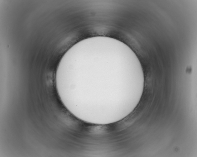 X0000090750122200708172035