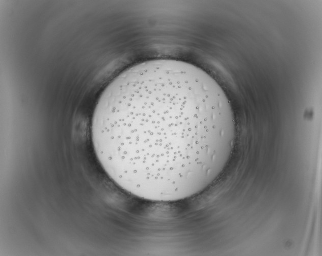 X0000090750123200708172035