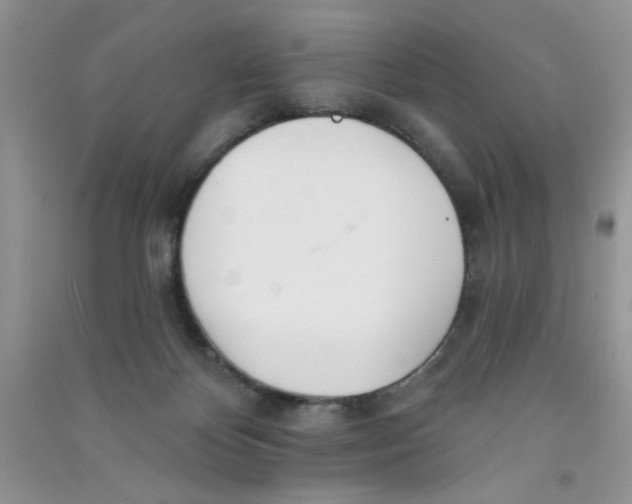 X0000090750124200708172035