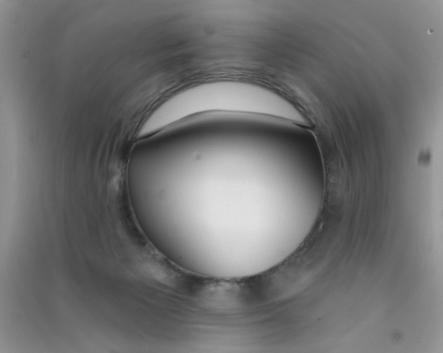 X0000090750125200708172035