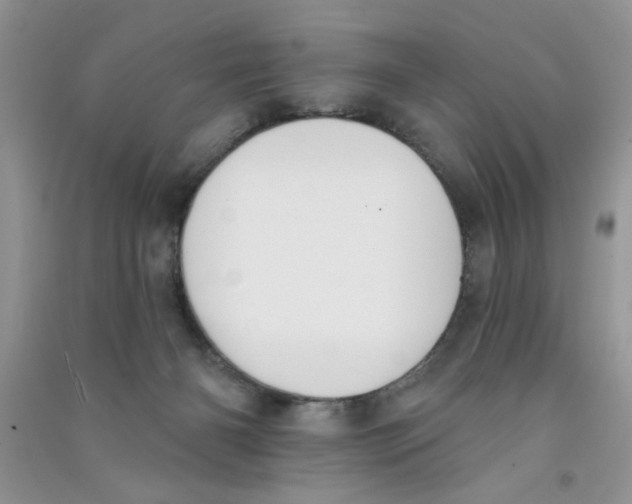 X0000090750126200708172035