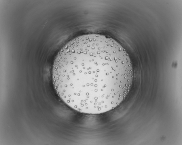 X0000090750127200708172035