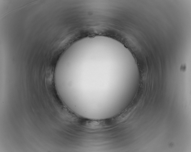 X0000090750129200708172035