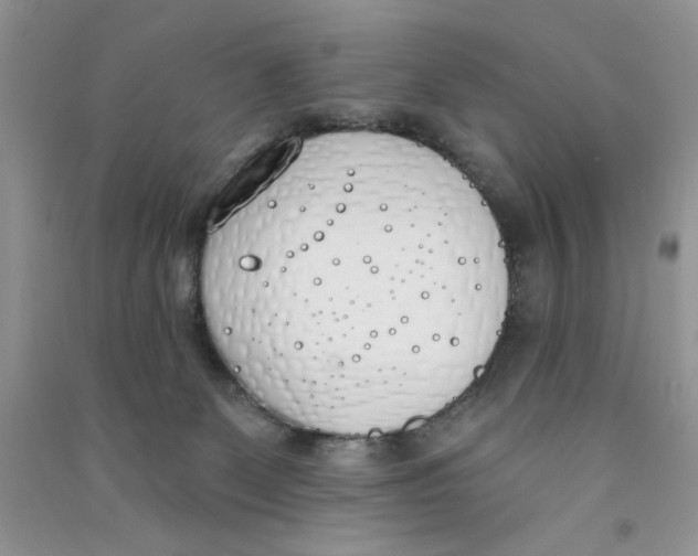 X0000090750131200708172035