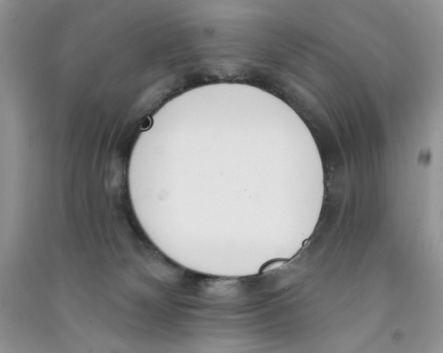 X0000090750132200708172035