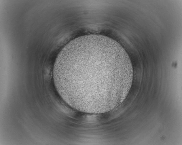 X0000090750134200708172035