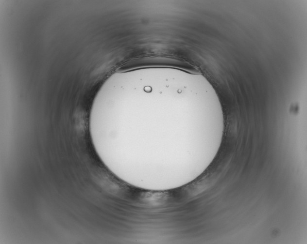 X0000090750135200708172035