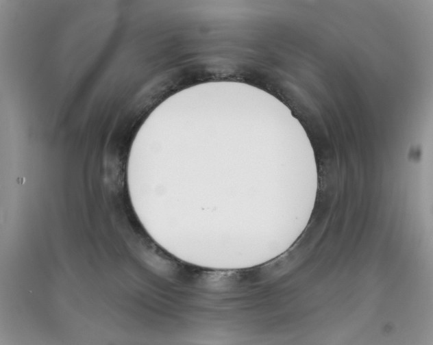 X0000090750136200708172035