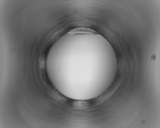 X0000090750137200708172035