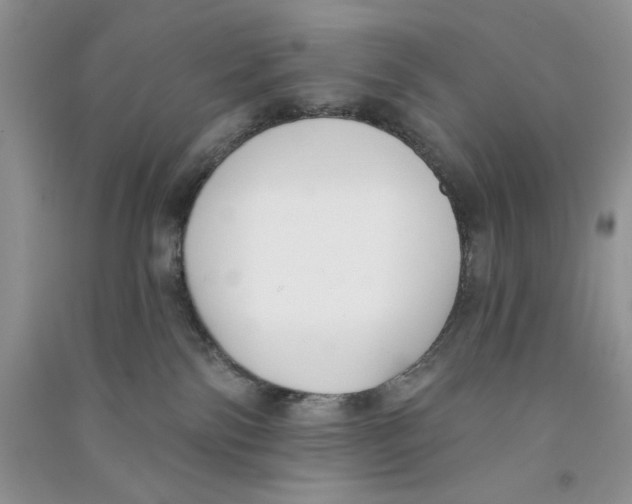X0000090750138200708172035