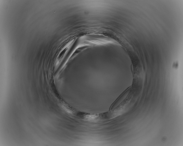 X0000090750139200708172035