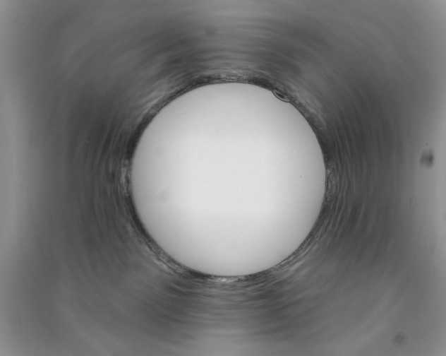 X0000090750141200708172035