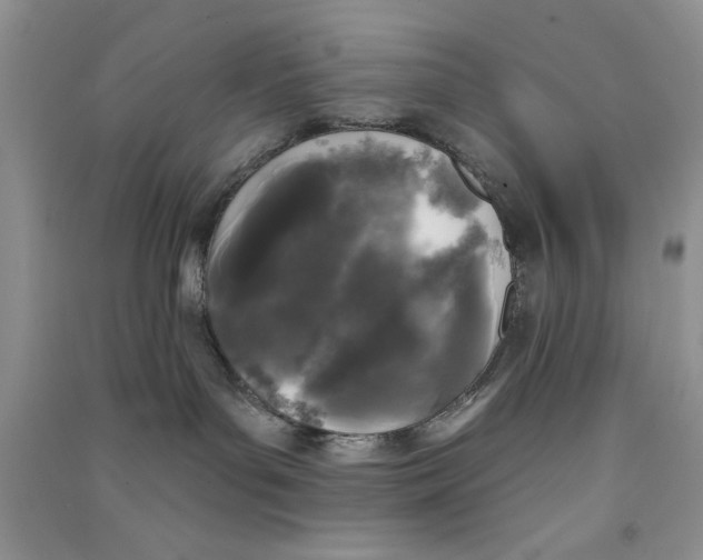 X0000090750143200708172035