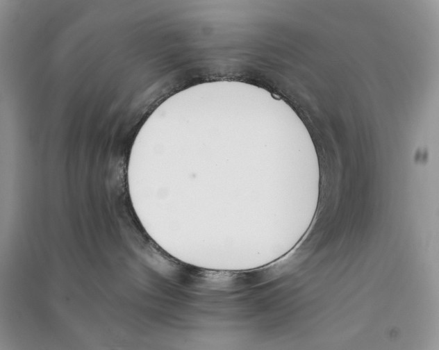 X0000090750144200708172035