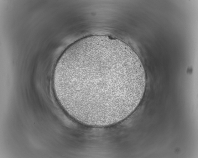 X0000090750145200708172034
