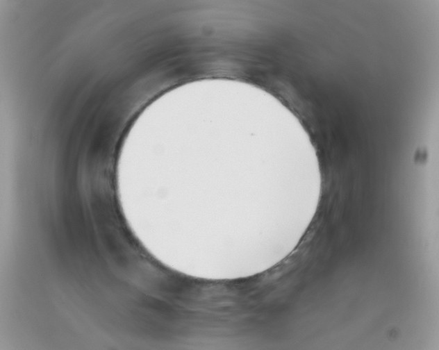 X0000090750146200708172034