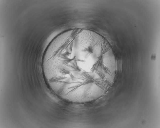 X0000090750147200708172034