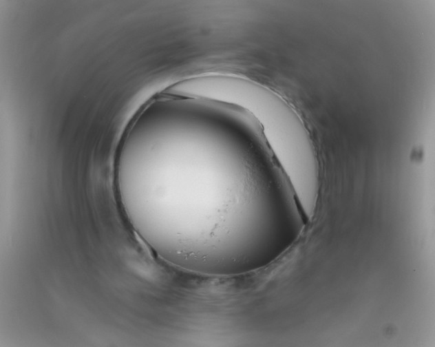 X0000090750148200708172034