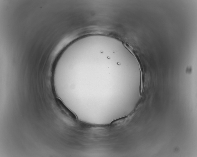 X0000090750150200708172034