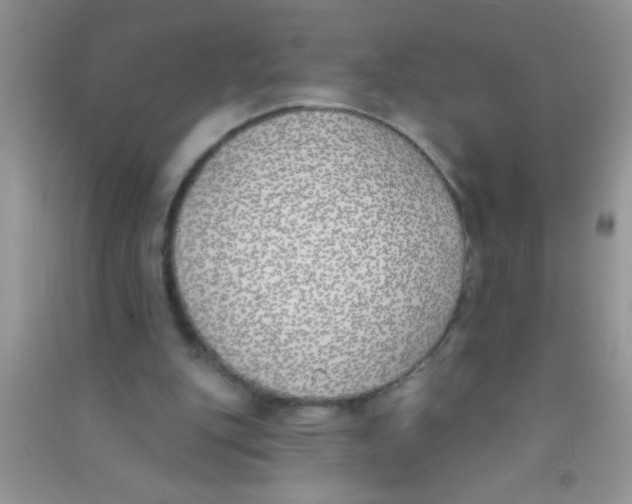 X0000090750151200708172034