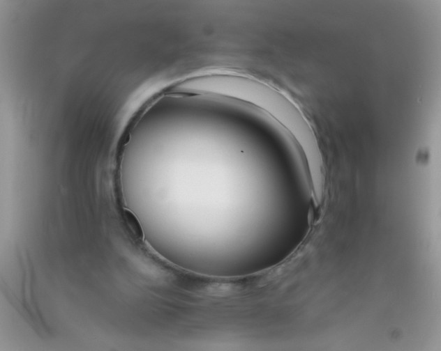 X0000090750152200708172034