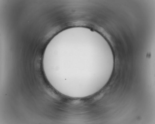 X0000090750153200708172034
