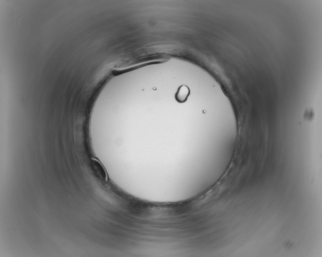 X0000090750154200708172034