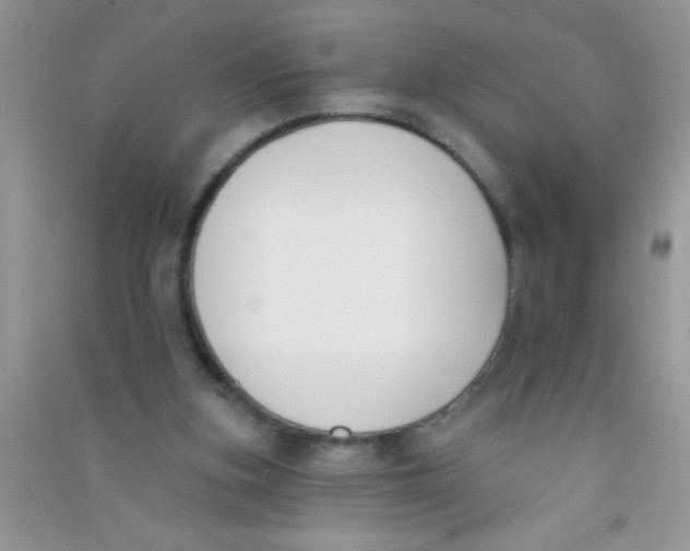 X0000090750155200708172034