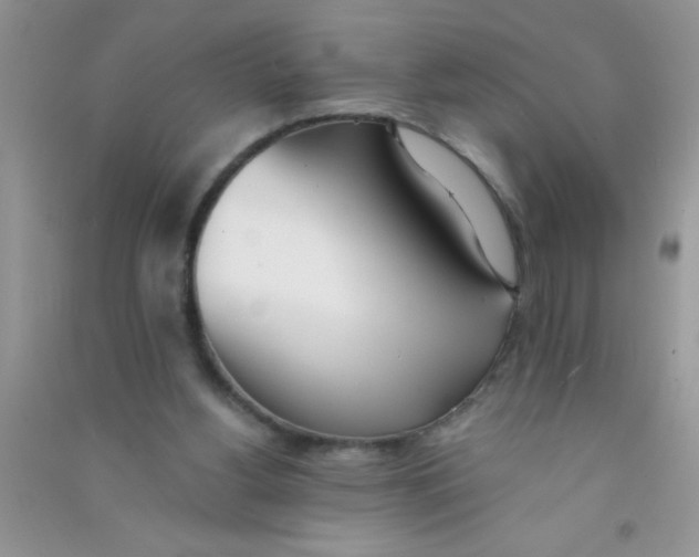 X0000090750156200708172034