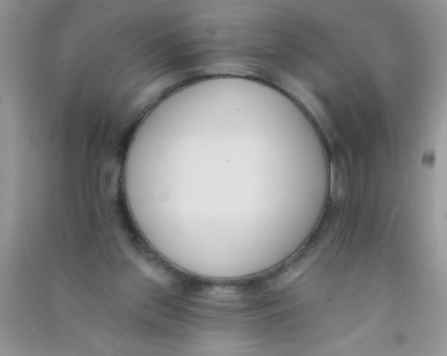 X0000090750157200708172034