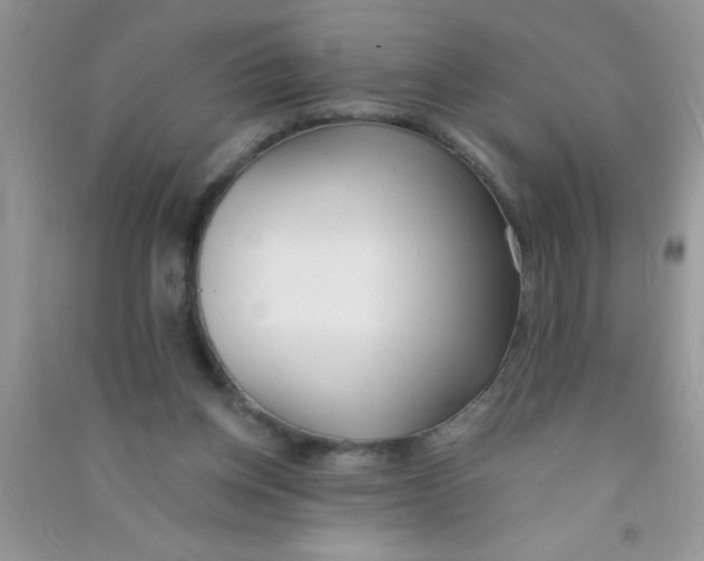 X0000090750158200708172034