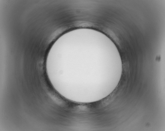X0000090750159200708172034