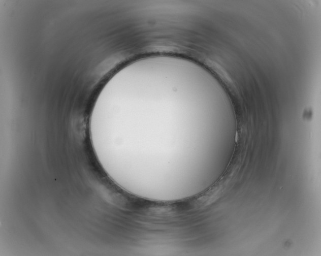 X0000090750160200708172034