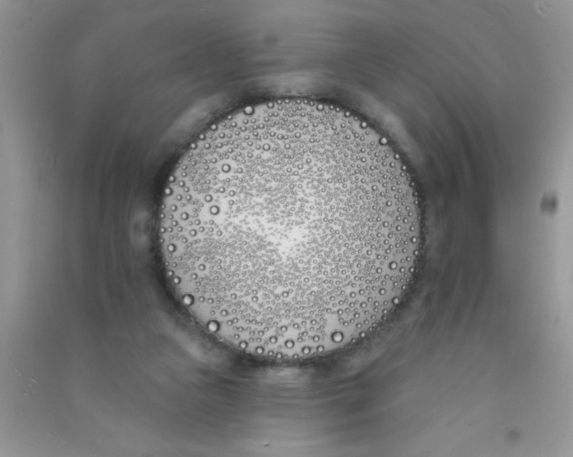 X0000090750161200708172034