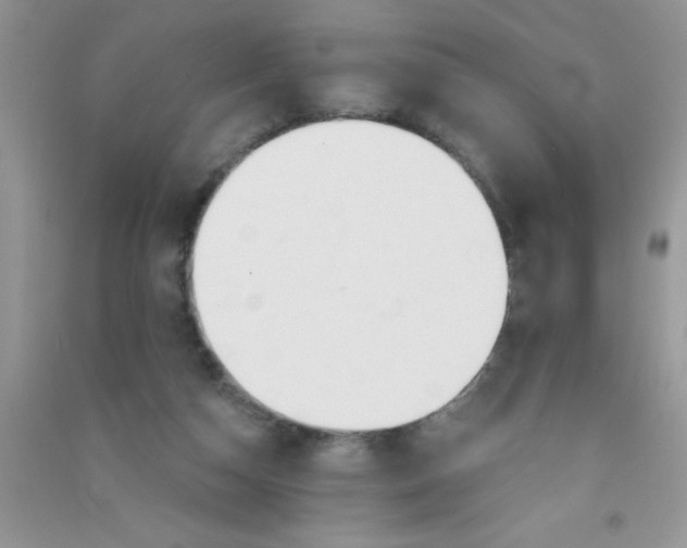 X0000090750162200708172034