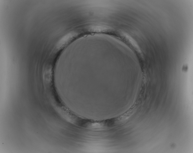 X0000090750163200708172034