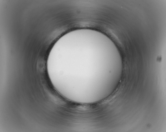 X0000090750164200708172034