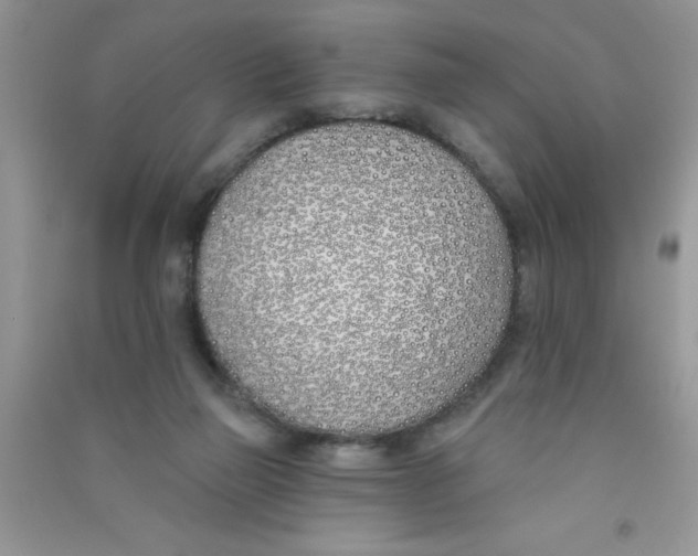X0000090750165200708172034