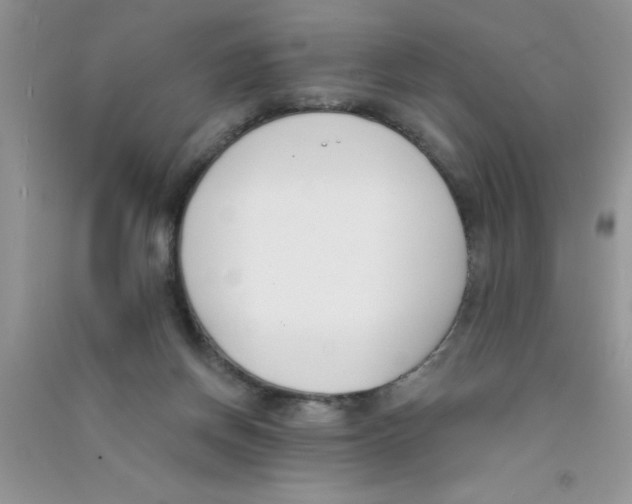 X0000090750166200708172034