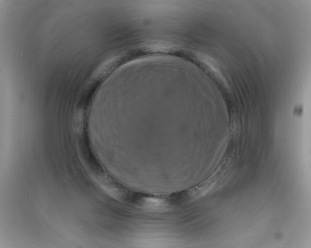 X0000090750167200708172034