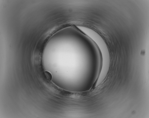X0000090750168200708172034