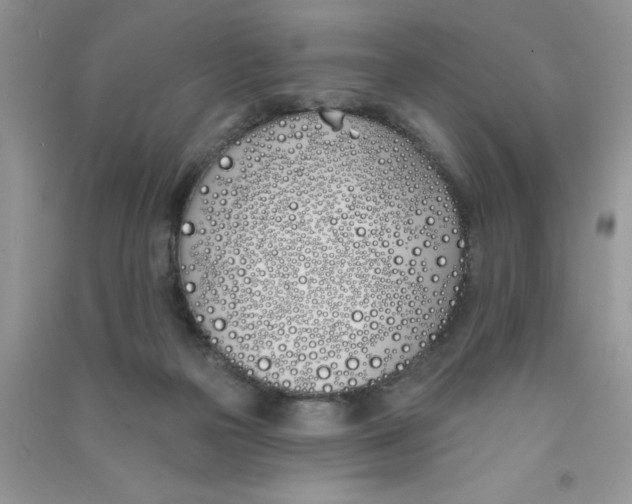X0000090750169200708172034