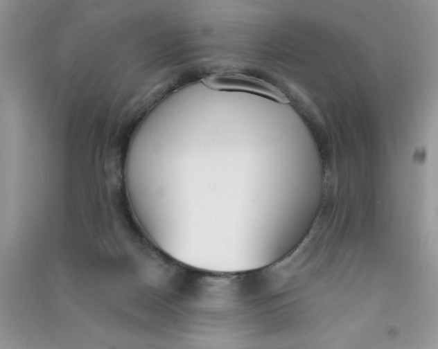 X0000090750170200708172034