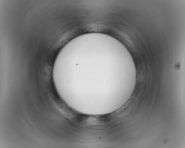 X0000090750171200708172034