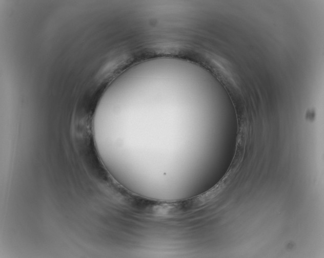 X0000090750172200708172034